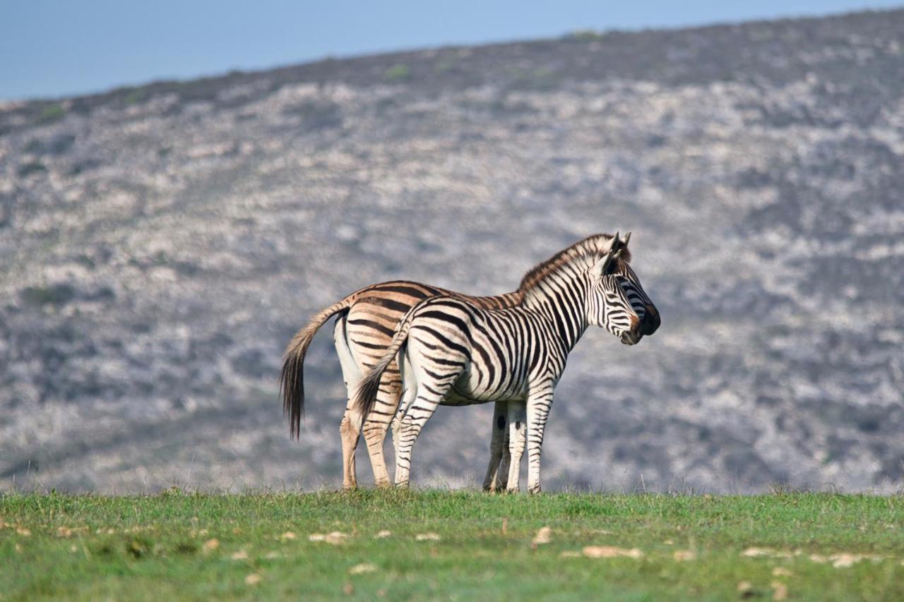 Jack'S Place Bredasdorp Dış mekan fotoğraf