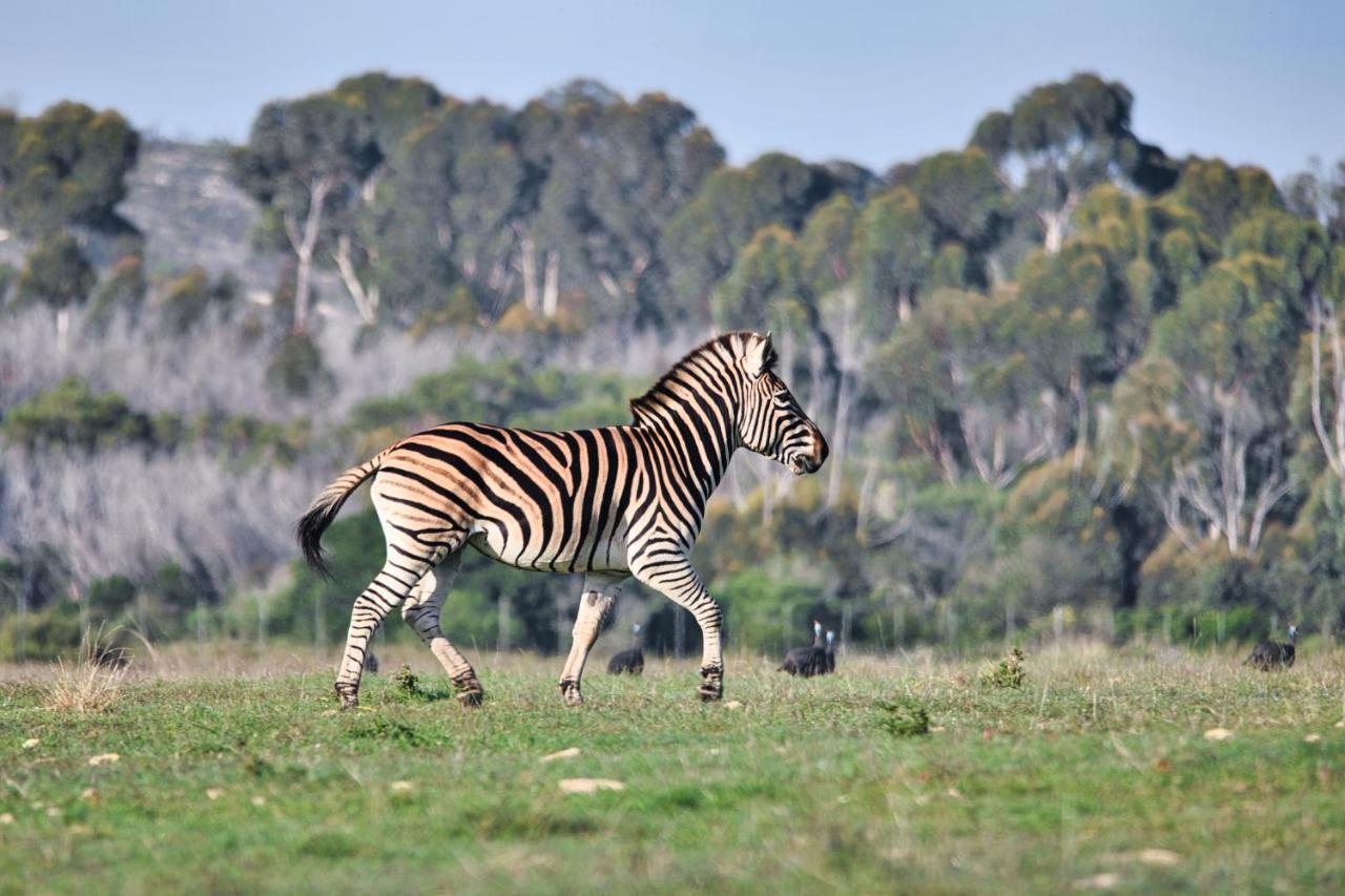 Jack'S Place Bredasdorp Dış mekan fotoğraf